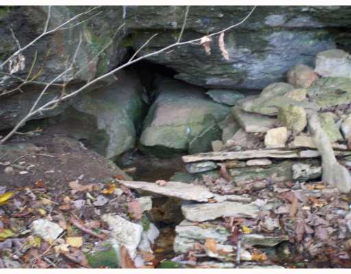 CR 2322 RD, Eureka Springs, Arkansas Homes & Land - Real Estate