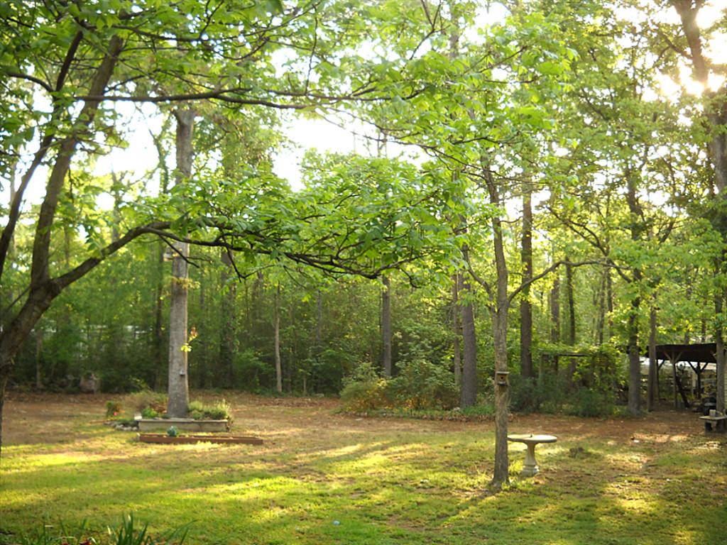 45 Dogwood, Huntsville, TX 77320