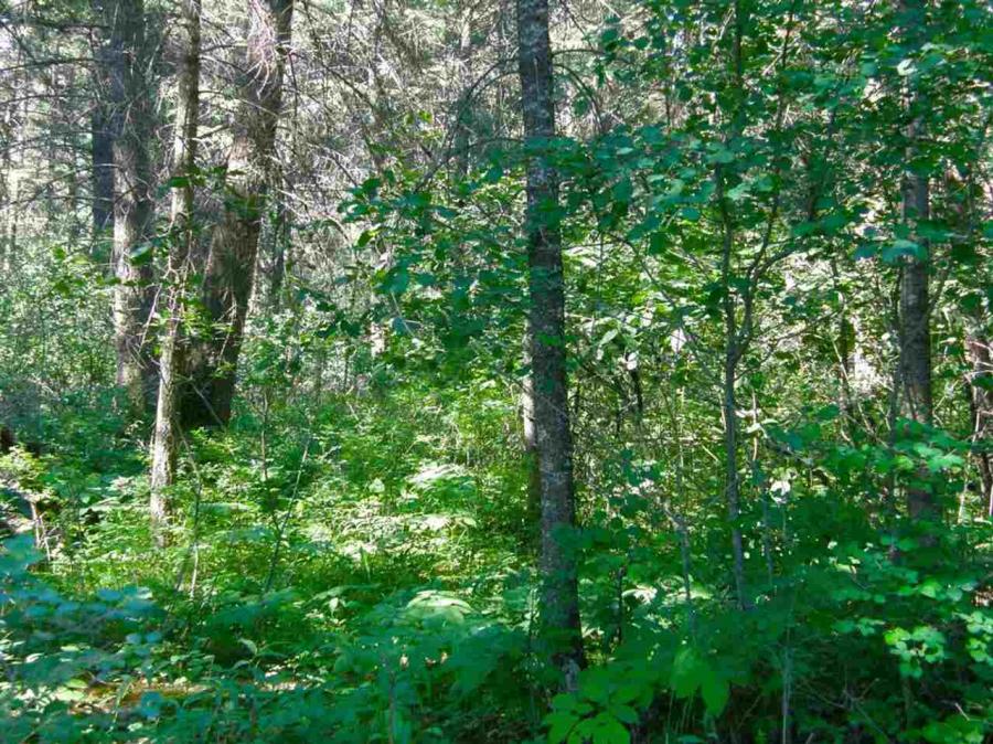302 Meadow Lake Blvd, Columbia Falls in Kalispell, Montana Real Estate - Homes & Land