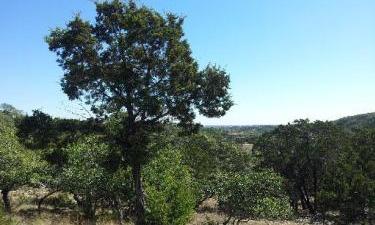 1218 Silent Holw Listing in Timberwood Park