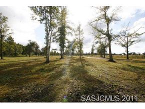 1535 Cr 13 A S, Elkton, FL 32033